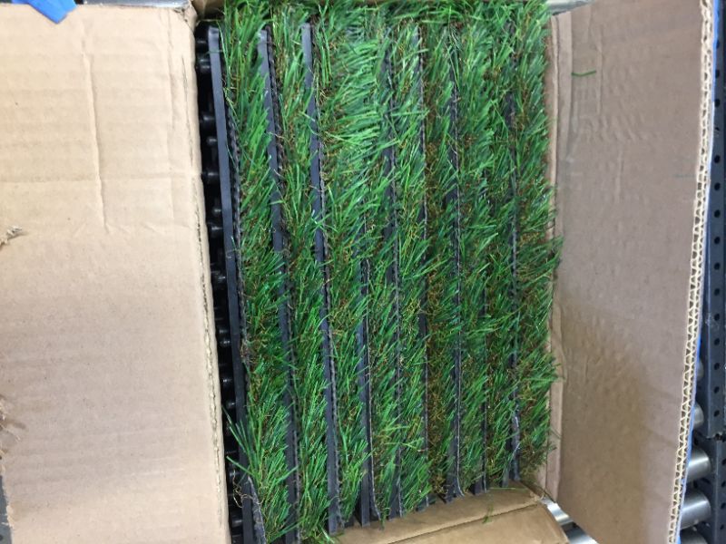 Photo 2 of 12X12" TURF GRASS