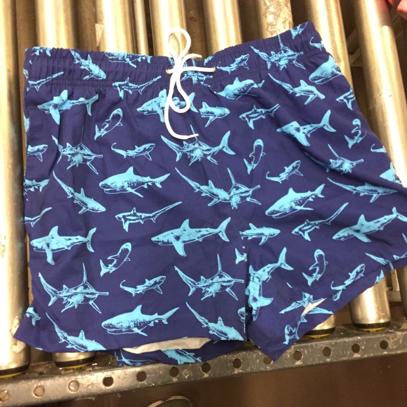 Photo 1 of Men's Swimming Trunks Sz L