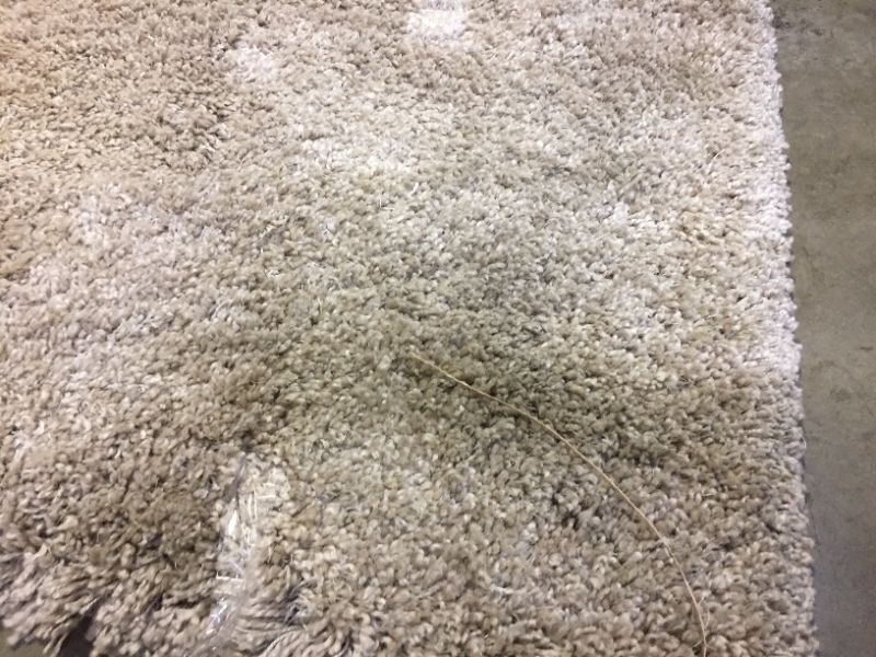 Photo 4 of Eyelash Woven Shag Rug - Project 62™

7'X10'