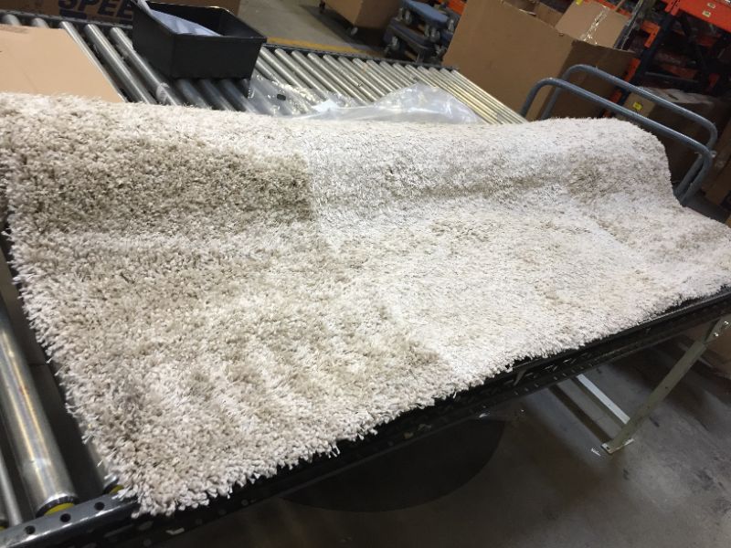 Photo 4 of Eyelash Woven Shag Rug - Project 62™ 7'X10'

