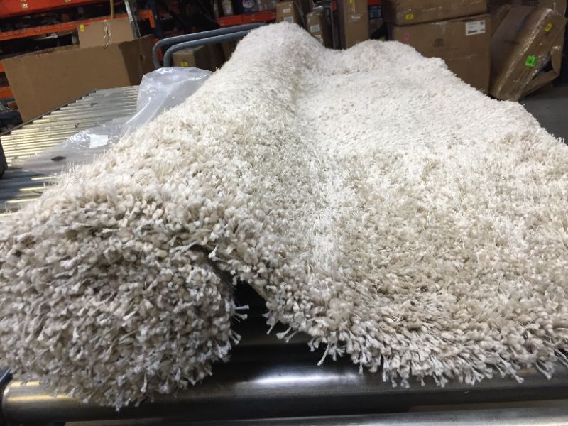 Photo 2 of Eyelash Woven Shag Rug - Project 62™ 7'X10'

