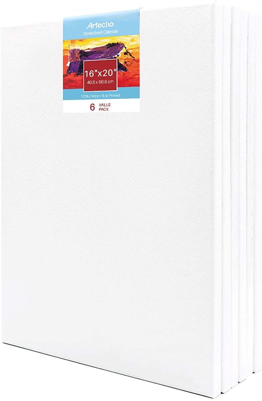 Photo 1 of Artecho 16x20 Inch Stretched Canvas, White Blank 6 Pack, Primed 100% Cotton, Super Value Bulk Pack for Painting, Acrylic Pouring, Oil Paint & Artist Media
