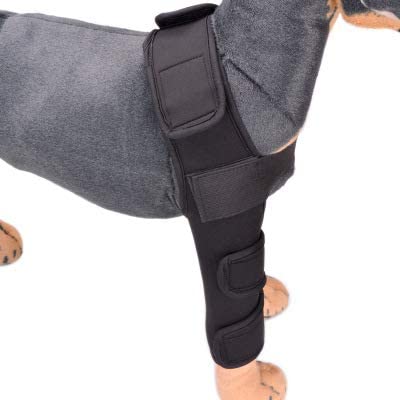 Photo 1 of IETFULL Dog Rear Leg Braces [Long Version] Canine Hind Hock Wraps with Safety Reflective Straps for Injury and Sprain Protection, Wound Healing and Loss of Stability from Arthritis - LARGE 
