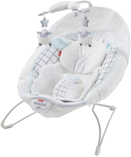 Photo 1 of Fisher-Price Sweet Little Lamb Deluxe Baby Bouncer