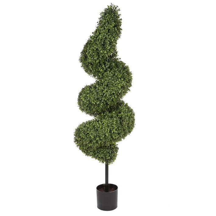 Photo 1 of Green Boxwood Spiral Tree 60in