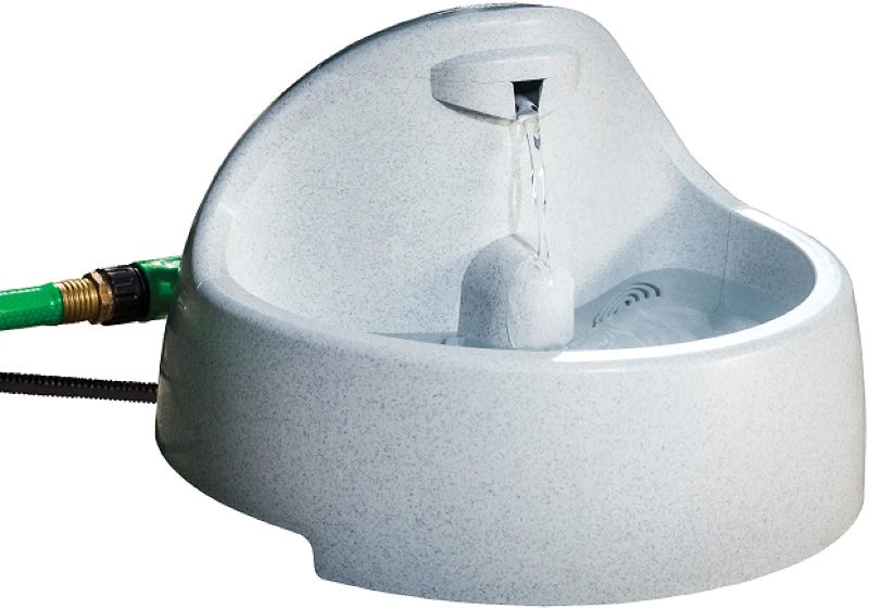 Photo 1 of PetSafe Drinkwell Everflow Indoor/Outdoor Dog and Cat Water Fountain, Pet Drinking Fountain, 192 oz. Water Capacity Gray