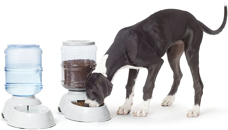 Photo 1 of Amazon Basics Gravity Pet Food Feeder and Water Dispensers
