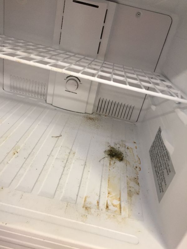 Photo 4 of Insigna black refrigerator       -- and there are some parts that are dirty 