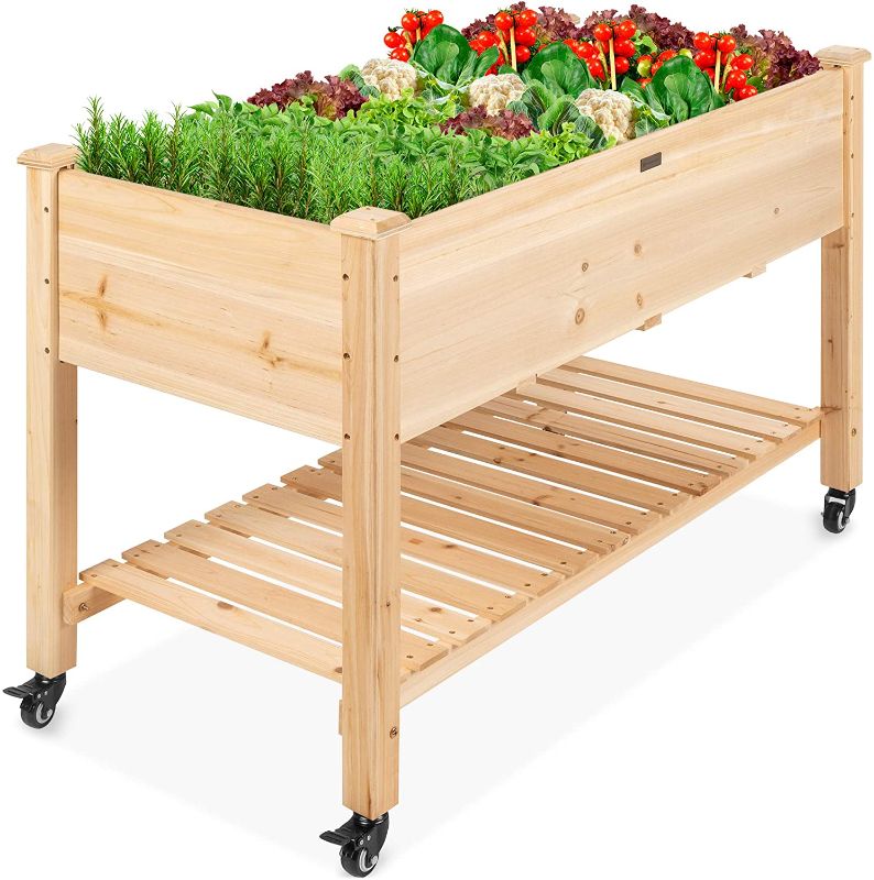 Photo 1 of Best Choice Products Raised Garden Bed 48x24x32-inch Mobile Elevated Wood Planter w/Lockable Wheels, Storage Shelf, Protective Liner
