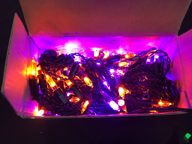 Photo 1 of 100 LED Halloween String Lights