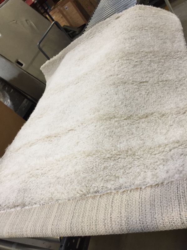 Photo 4 of Eyelash Woven Shag Rug - Project 62™ SIZE5X7FT

