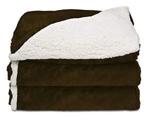 Photo 1 of Sunbeam Heated Throw Blanket | Reversible Sherpa/Royal Mink, 3 Heat Settings