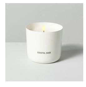 Photo 1 of 9oz Coastal Sage Powder Coated Metal Seasonal Candle - Hearth & Hand with Magnol