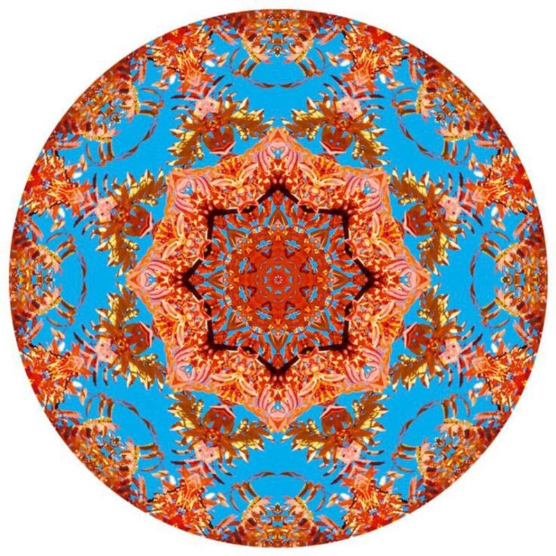 Photo 1 of Classic Puzzle Game Puzzle-Orange Mandala-500 Pieces Round Puzzle Color Challenge Jigsaw Puzzles for Adults Kids Art Home Wall Decor Creative Gift Sturdy and Easy
