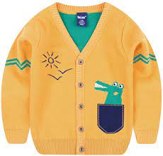 Photo 1 of TAILLODAY TODDLER BOYS CHILDREN'S LONG SLEEVE KNITTED SWEATSHIRTS CARTOON DINOSAUR V-NECK 3-7 T