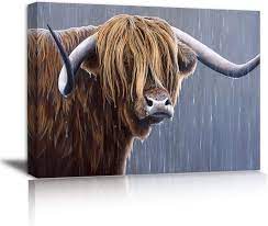 Photo 1 of anguscpys highland cow canvas wall art 12 X 16 inches