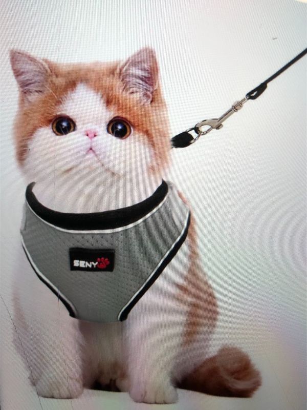 Photo 1 of YUJUE CAT HARNESS AND LEASH PET VEST LARGE 