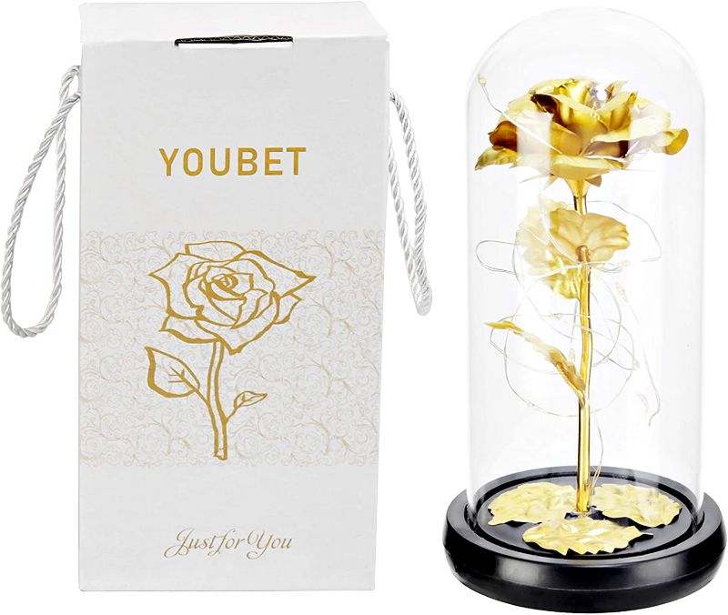 Photo 1 of YOUBET Galaxy Rose-Colorful Artificial Flower Rose Gift in Glass Dome -Mother’s Day Flower Gift- Flower Rose with Gift Card-Unique Gifts for Wedding, Anniversary, Birthday, Room Decor
