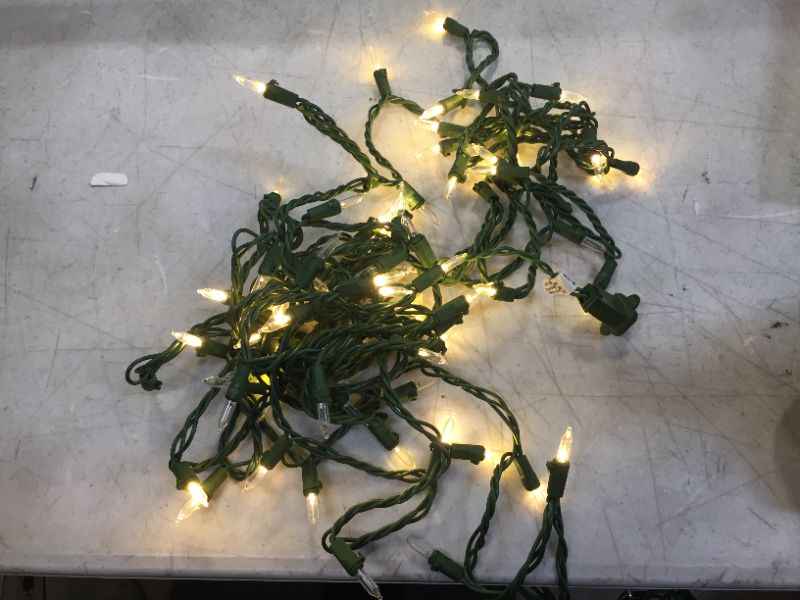 Photo 2 of 29.5 ft. 100-Light Warm White Mini LED Lights on Green Wire
