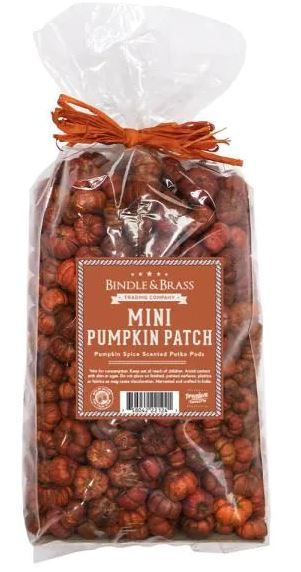 Photo 1 of  Mini Pumpkin Patch Orange - Pumpkin Spice (Single)
