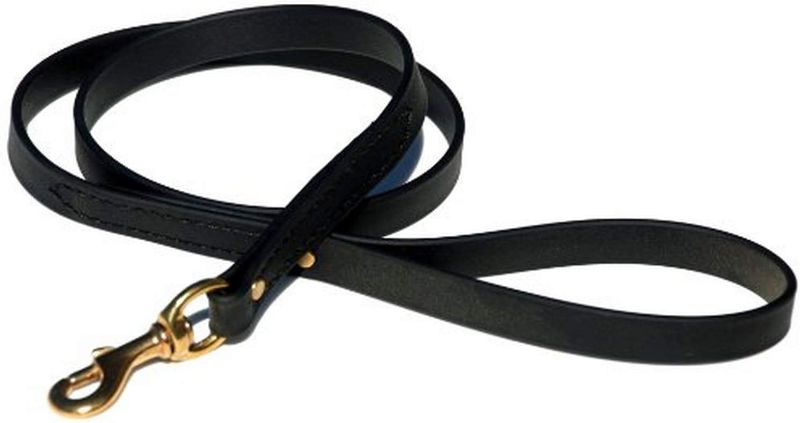 Photo 1 of Biothane Leash, 4-Feet x 3/4-Inch, Black