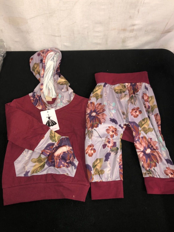 Photo 1 of 2PC LONGSLEEVE SET, shishifang baby girl clothes, FLORAL PRINT, SIZE 80
