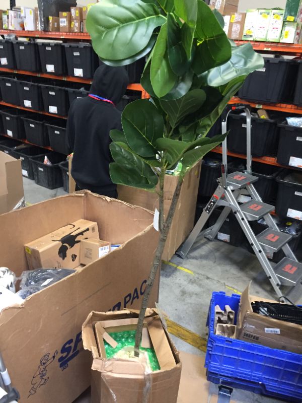 Photo 1 of 6’ Fiddle leaf Fig Artificial Tree in Tall White Planter
