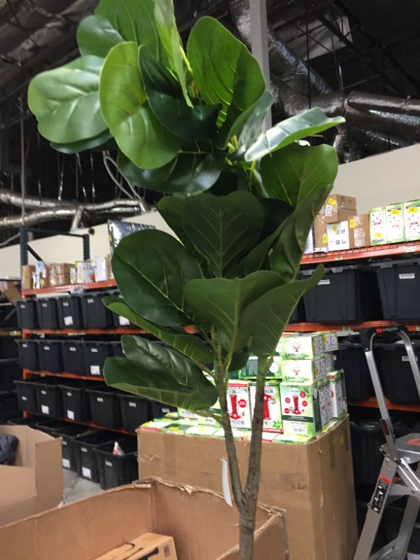 Photo 1 of 6’ Fiddle leaf Fig Artificial Tree in Tall White Planter

