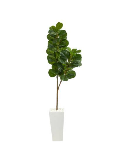 Photo 1 of 6’ Fiddle leaf Fig Artificial Tree in Tall White Planter
