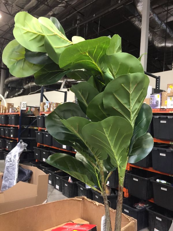 Photo 1 of 6’ Fiddle leaf Fig Artificial Tree in Tall White Planter
