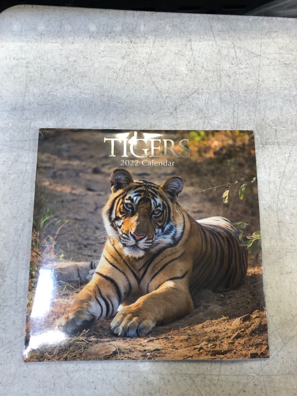 Photo 2 of 2022 Square Wall Calendar - Tigers, 12 x 12 Inch Monthly View, 16-Month, Animals Theme, Includes 180 Reminder Stickers
