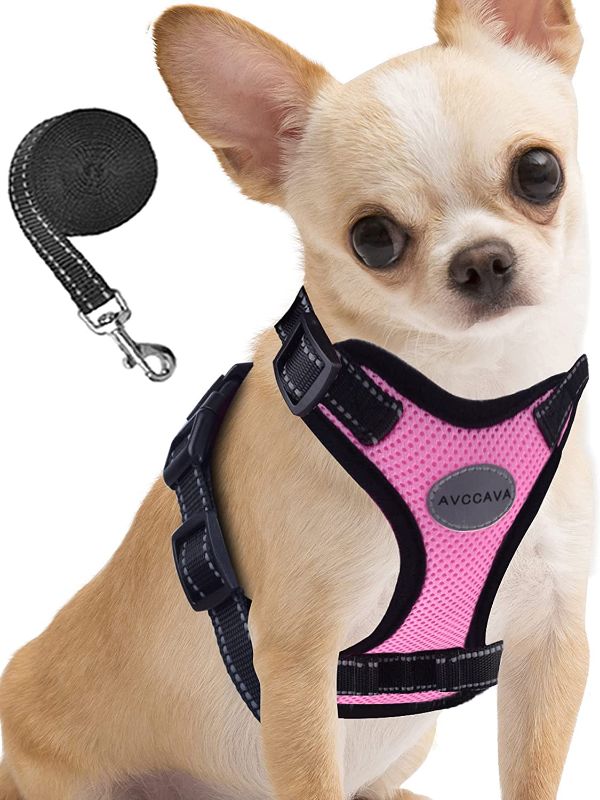 Photo 1 of AVCCAVA Dog Harness - Soft Mesh Breathable Dog Vest Harnesses for Puppies and Small Dogs, Cat Harness and Leash for Control Walking, Easy Adjustable Reflective Kitten Escape Proof Harnesses
