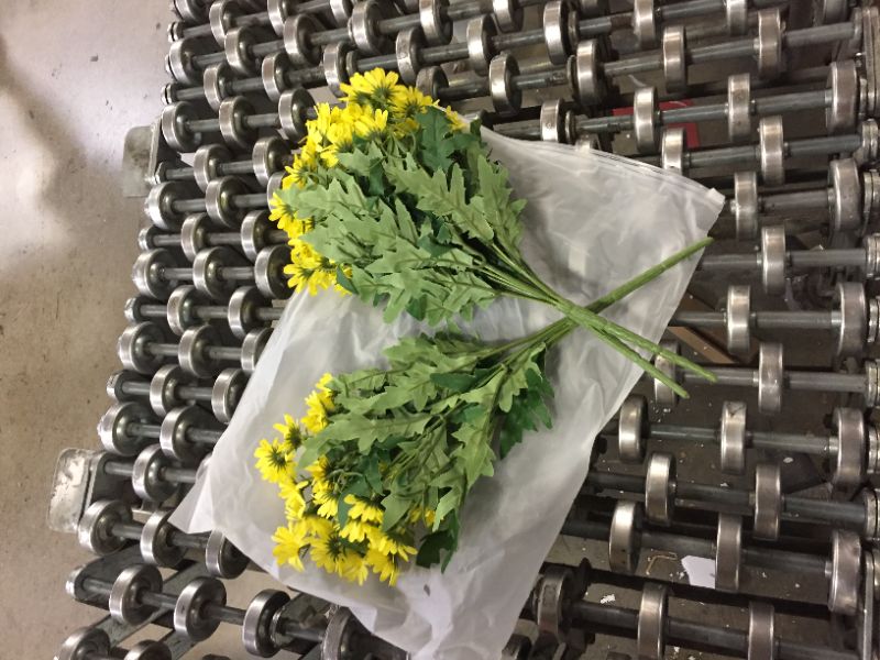 Photo 1 of fake daisys 