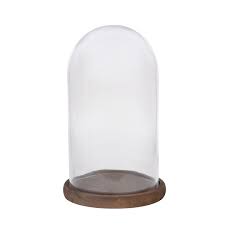 Photo 1 of ashland cloche with base 5in GLASS DIAMETER 6in WOOD BASE DIAMETER 9.5in TALL GLASS 11IN TALL TOTAL
