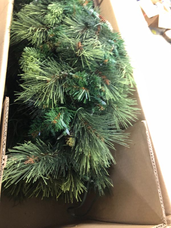 Photo 4 of National Tree Company 6.5 ft. Carolina Pine Tree with Clear Lights