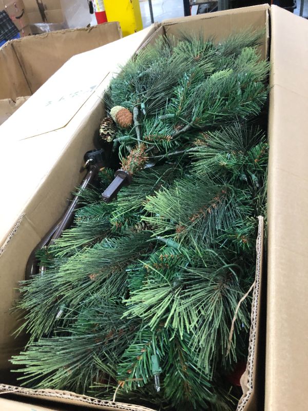 Photo 3 of National Tree Company 6.5 ft. Carolina Pine Tree with Clear Lights