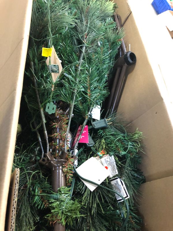 Photo 2 of National Tree Company 6.5 ft. Carolina Pine Tree with Clear Lights