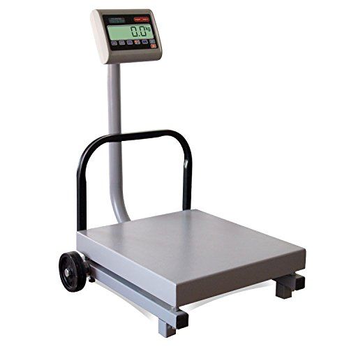 Photo 1 of TORREY FS250/500 Digital Receiving Scale, Rechargeable Battery, Robust Steel Construction, Toggles between kg and pounds, 250 kg/500 lb, Gray
