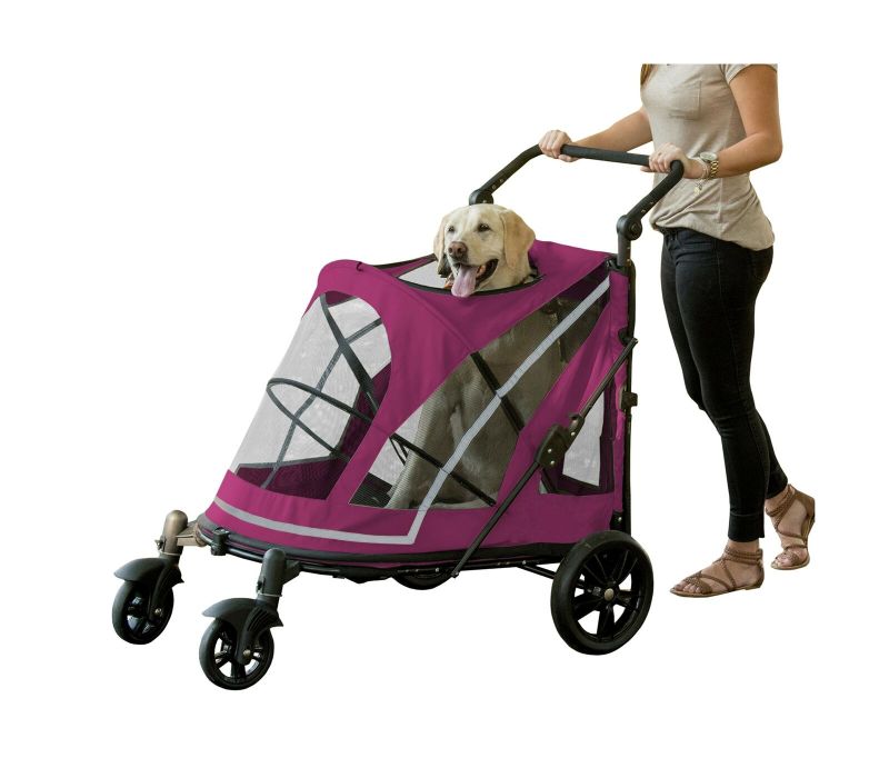Photo 1 of Brand New Pet Gear NO-ZIP Stroller, Push Button Zipperless Dual Entry, for Single or Multiple Dogs/Cats, Pet Can Easily Walk In/Out, No Need to Lift Pet, Boysenberry, Expedition

