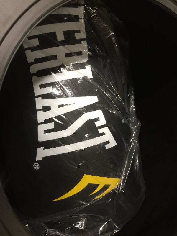 Photo 2 of Everlast | Powercore Freestanding Heavy Bag