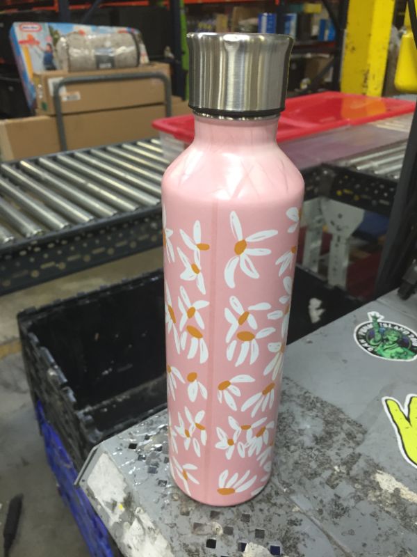 Photo 1 of 17oz insulated water bottle 
