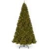 Photo 1 of 16 ft. North Valley Spruce Pencil Slim Tree with Clear Lights
- missing base 