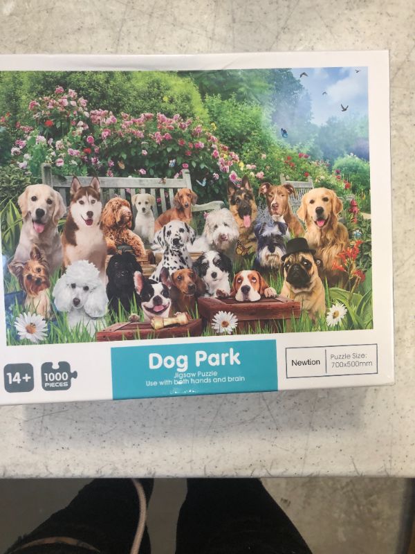 Photo 2 of  Doggie Photoshoot in a Dog Park - Premium Quality 1000 Piece Puzzles for Adults, HD Image with Non Glare Finish, No Puzzle Residue