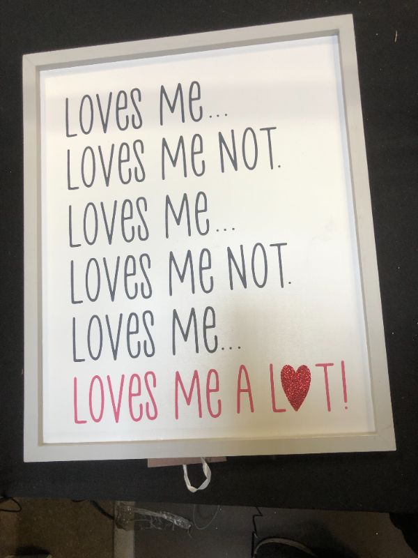 Photo 2 of "Loves Me Loves Me Not" Valentine's Day Sign - Spritz™---ITEM IS DIRTY---STAND IS BROKEN---
