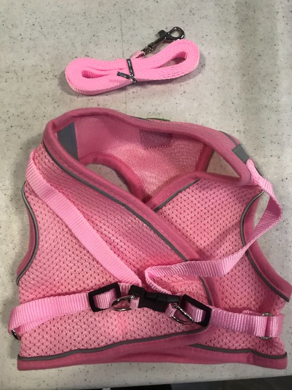 Photo 1 of XL Pet harness 