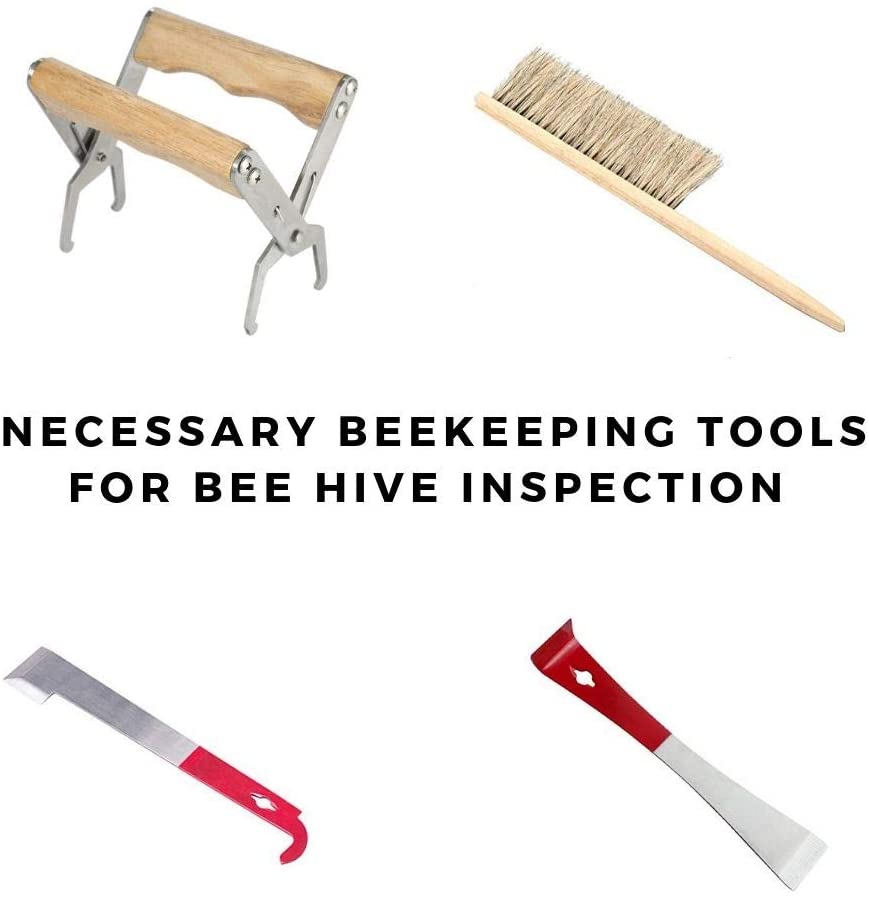 Photo 5 of Beekeeping Supplies Beekeeping Tools for Beekeeper Necessary Bee Supplies Beekeeping Kit 9 Pcs
