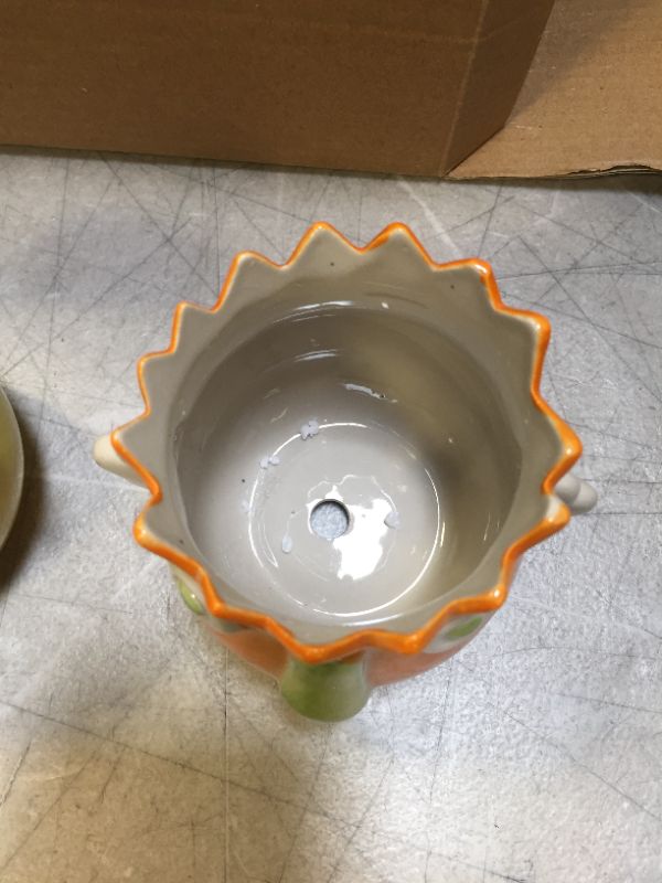 Photo 2 of 3 Piece Succulent pots, Glass