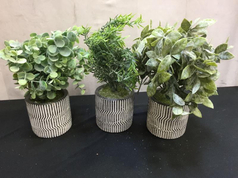 Photo 3 of 3 Pack Fake Plants in Striped Pattern Ceramic Pot for Home Decor,Mini Potted Artificial Eucalyptus Boxwood Plants Greenery for Home Office,Wall Shelf,Table,Bathroom,Modern Farmhouse Home Decoration
