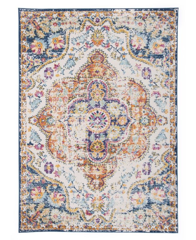 Photo 1 of  Main Street Rugs Lyon Lyn836 Multi 7'10" x 10' Area Rug