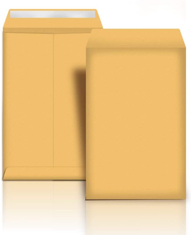 Photo 1 of Amazon Basics Catalog Mailing Envelopes, Peel & Seal, 9x12 Inch, Brown Kraft, 100-Pack - AMZP13
